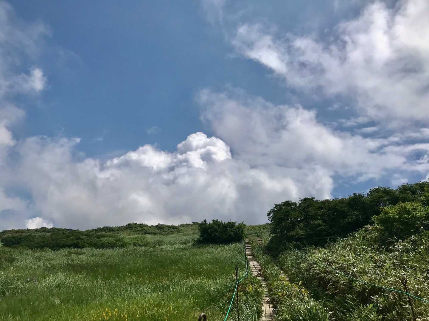雲が近〜い＼(^o^)／