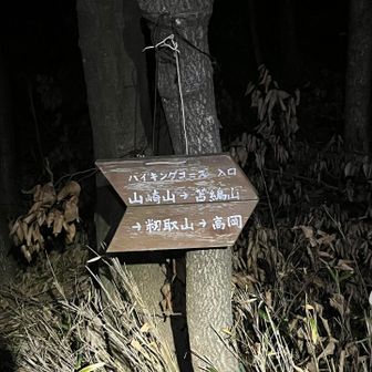 無事下山してきました