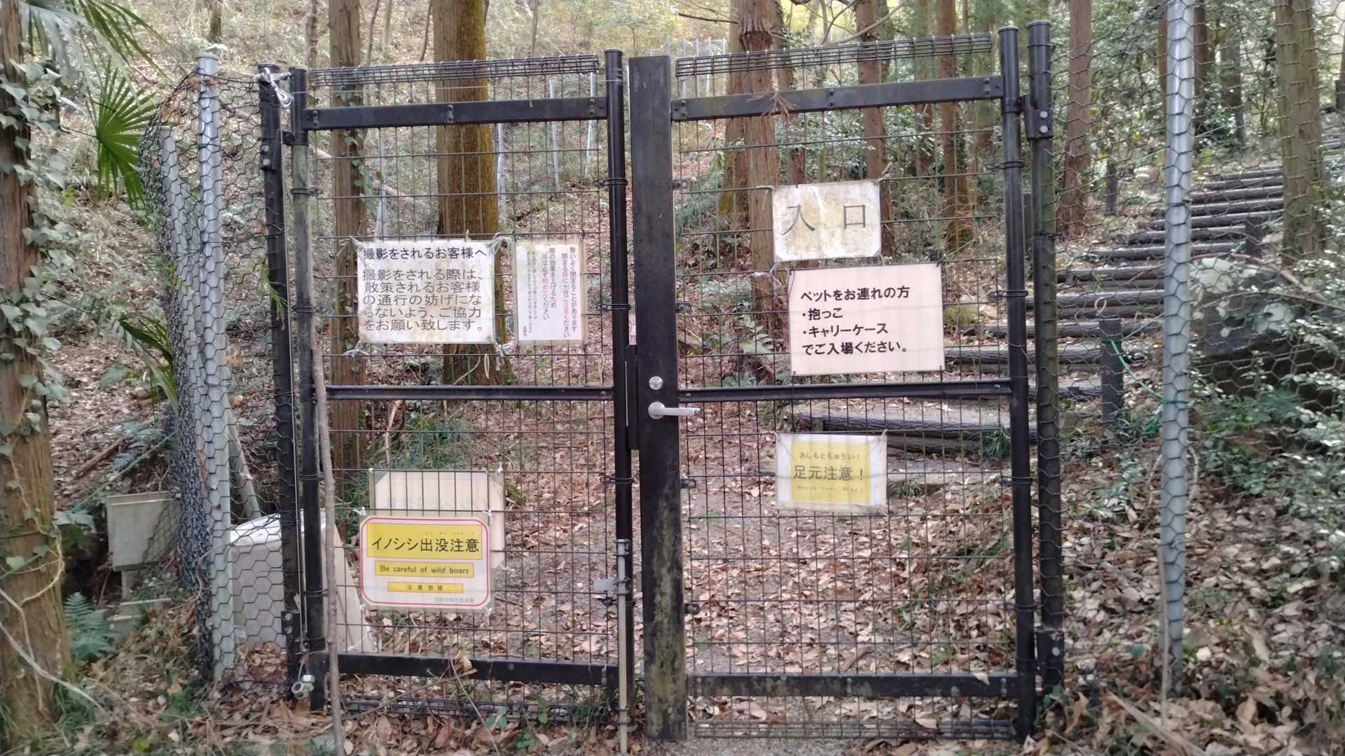 万葉自然公園のカタクリ群生地内に入ります…
イノシシ除けの立派なゲートがあります
なんか檻の中に入るみたいです〜🤣
この中にいれば安心ですね！