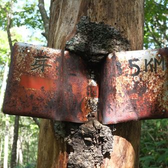 登山標識