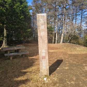 足和田山(五湖台)の山頂です。