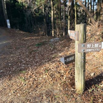 ここから自動車道を歩く