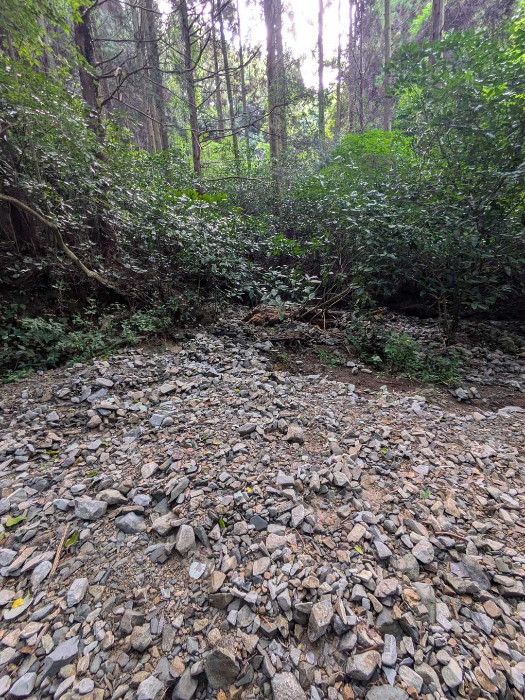 石峠から西登山口へ。　
杉山から登山道へ小石がいっぱい流れてきています。