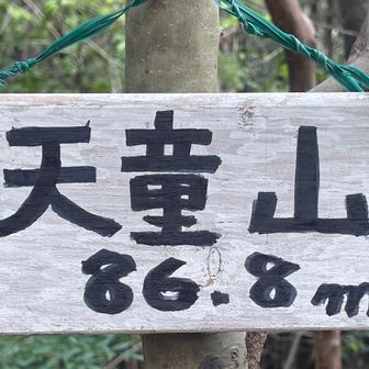 マジックで濃く書きました。