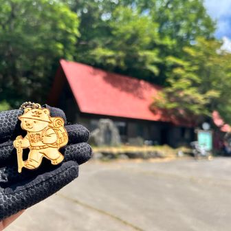 初ガチャ
欲しかった登山熊と車熊が出ました