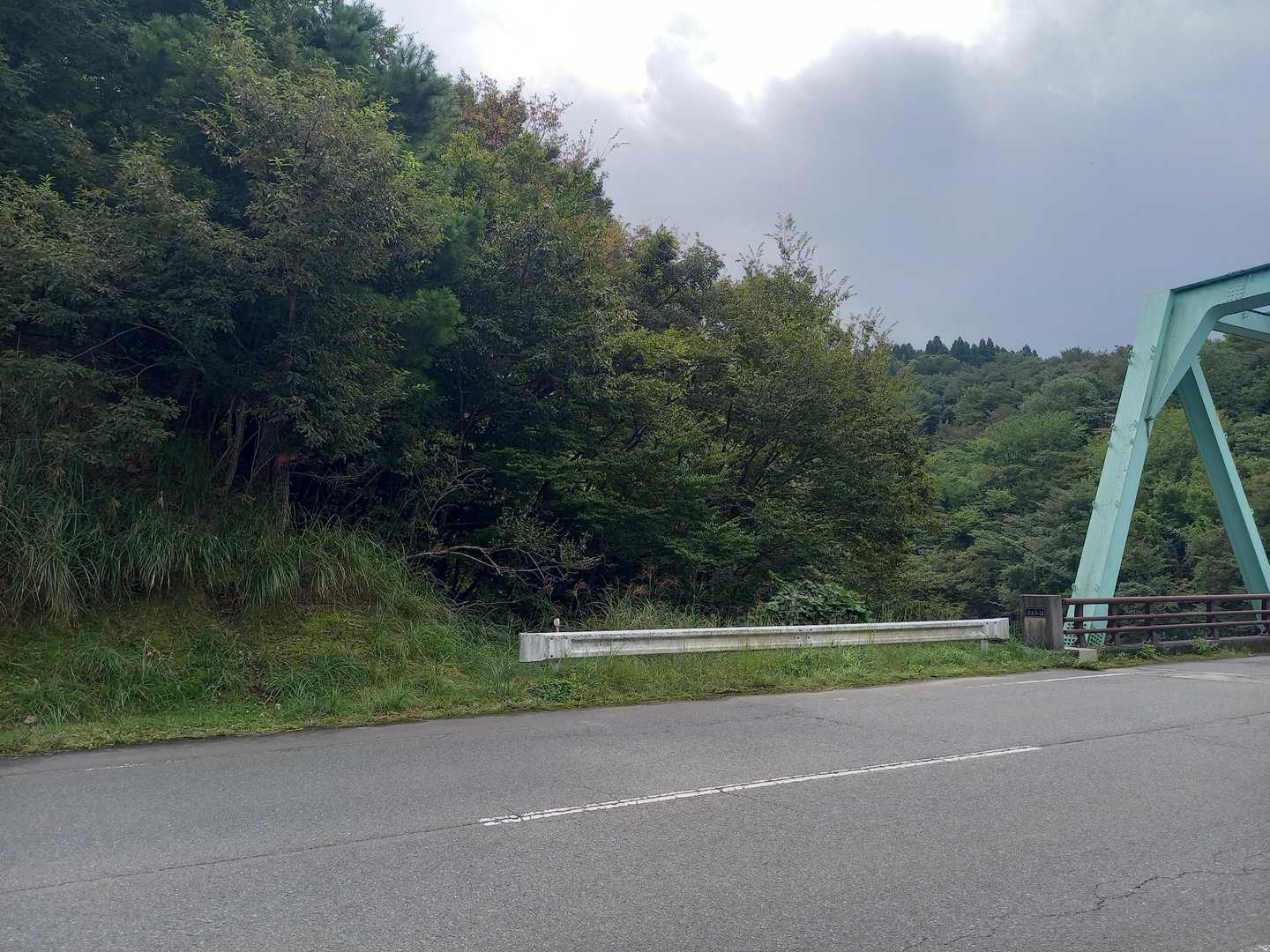 道を渡ってただいま🚗