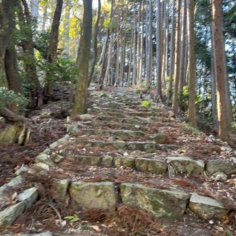 八幡神社への登り階段