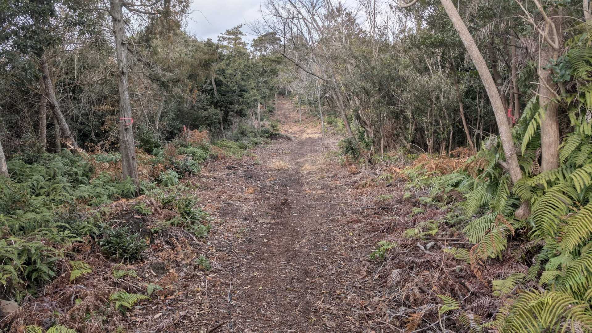 登山道は凄く綺麗に整備されていて、とても歩きやすいです。