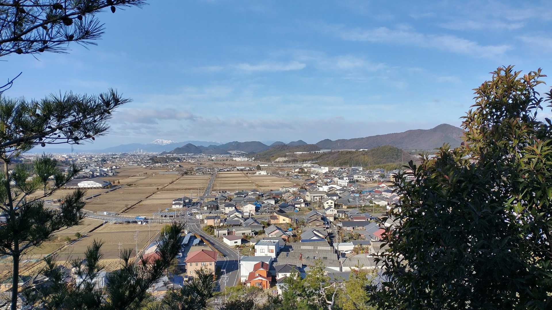 いぶっきーも見えます