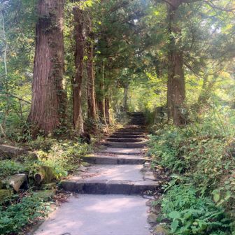夏山登山道からスタートです。