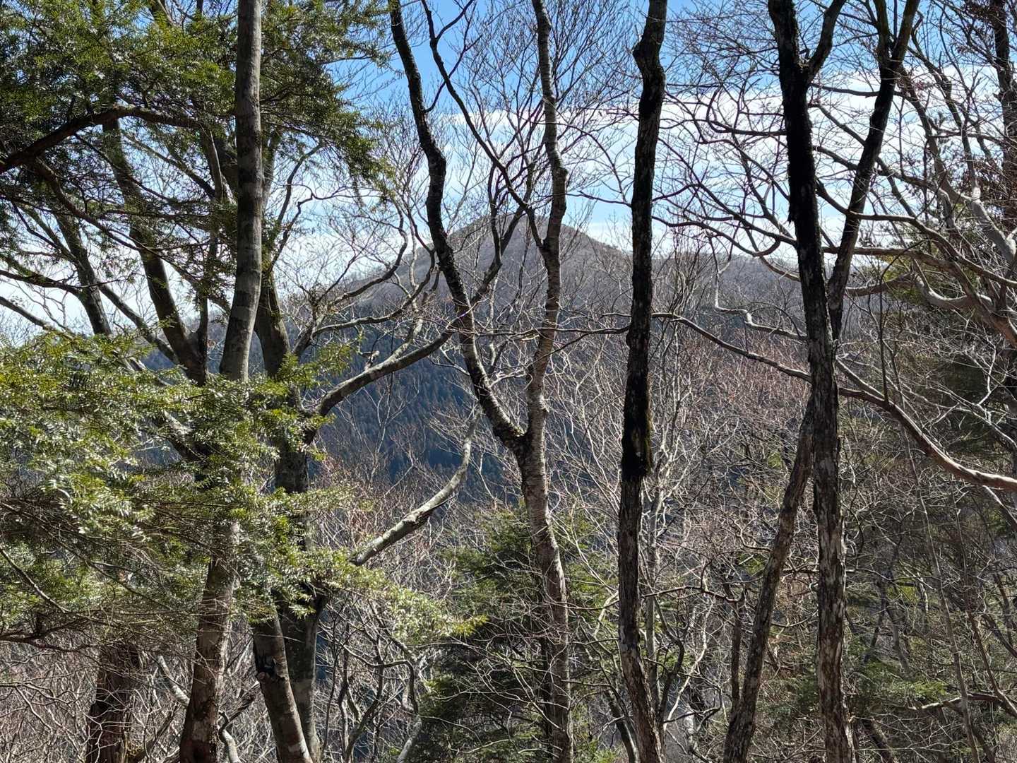 さよなら👋伯母子岳👋👋
またいつか熊野古道小辺路踏破で来たいなぁと思います。