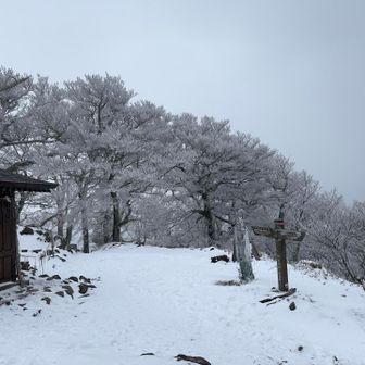いちめん雪☃️❄️