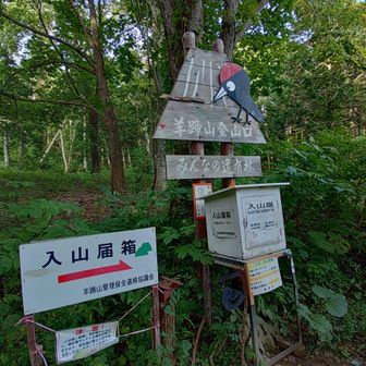 無事下山
う〜ん、無事でもないけど
まぁ無事下山😆