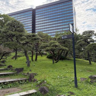 階段を登りきると山頂に黒い人影が😅
🐻⁉️
