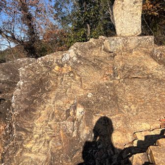 黄刀比羅神社にある
アンモナイト化石✨