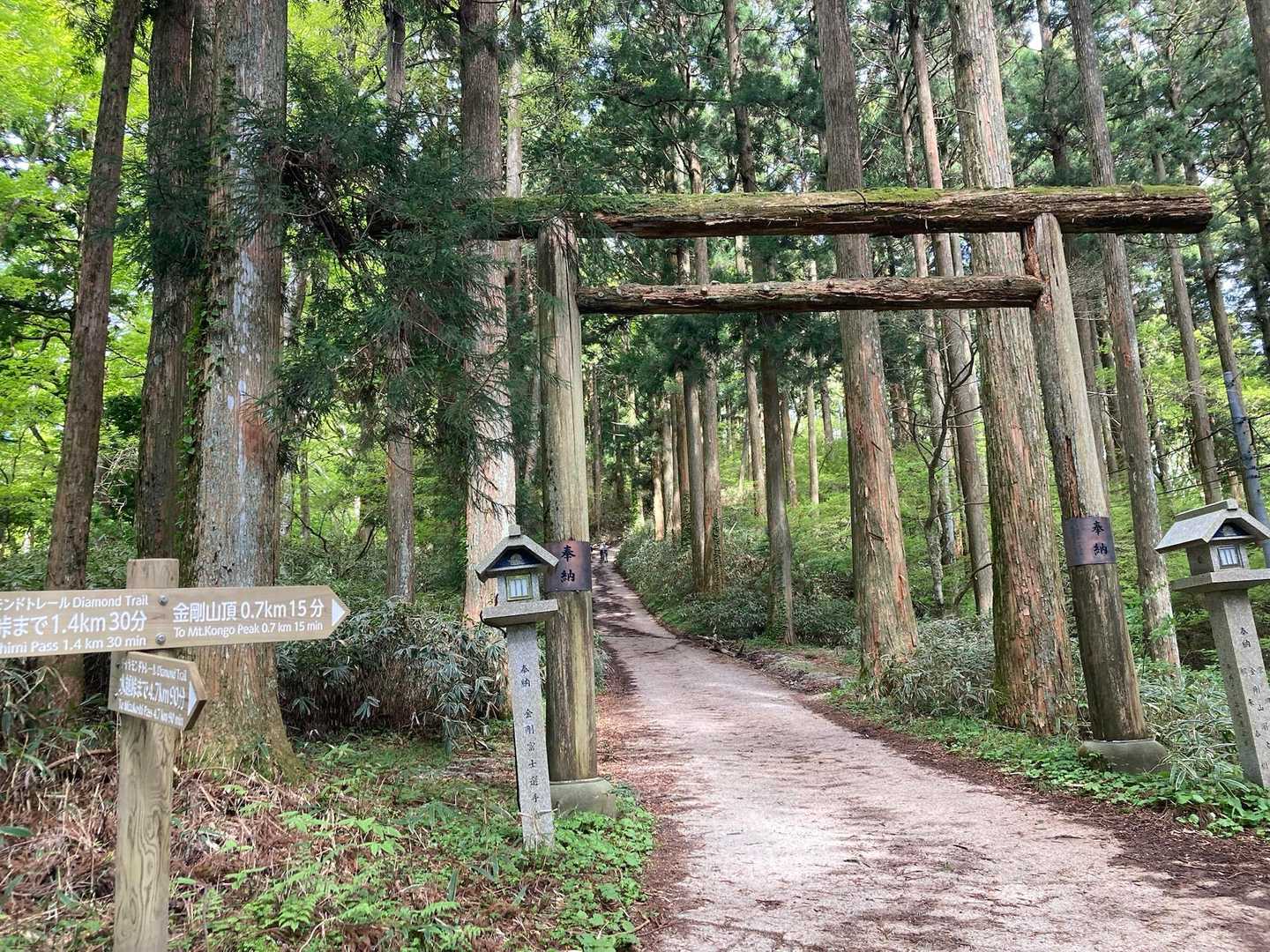 山頂まであと少し☺️