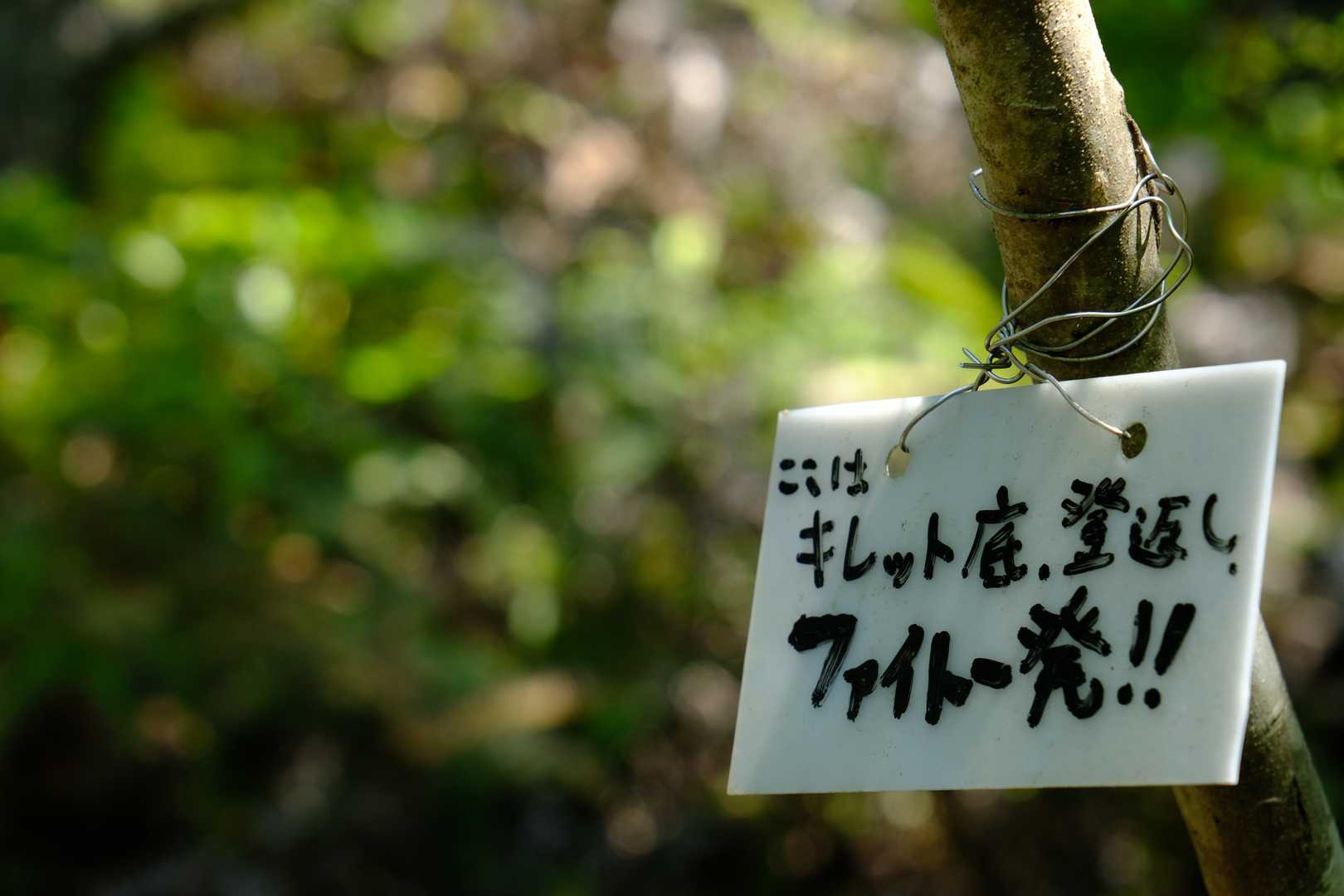 『涸沢峰』から次のピークまでは、これまで以上に急な下りと登り返しとなる。ここは北アルプス稜線の険しく切れ込んだ箇所にちなんで『キレット(切戸)』と呼ばれているようだ。