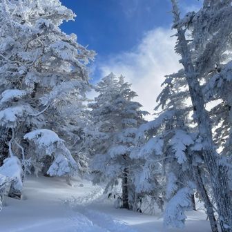 最後に青空のご褒美もらいました💙