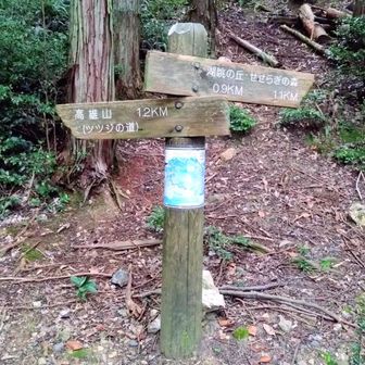 ツツジの道から山頂へ⛰️