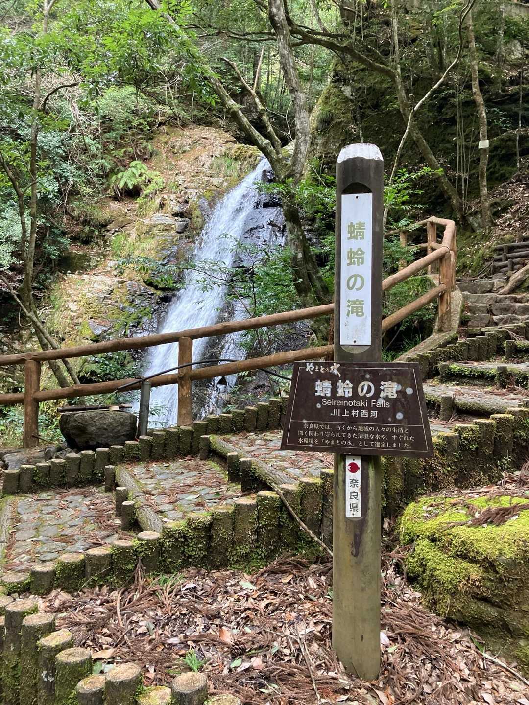 ここから激登り