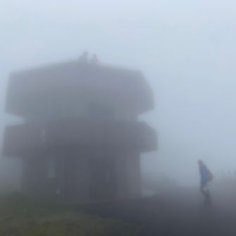 さて、これが三原山山頂付近

なんと、山頂のすぐそばに行って、山頂は踏んでない

ぼかしかけてるわけではなくて、無加工