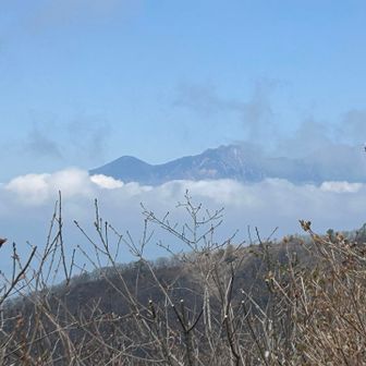 八ヶ岳も顔出してくれました。