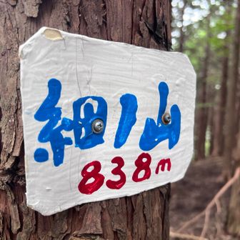 アップダウンがキツくないので楽々ゲット❗️
