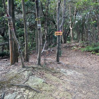 提灯講山
計画より1時間遅れで、予備のバッテリーも切れたため、スマホは省電力モードに移行し以後の写真なし😂