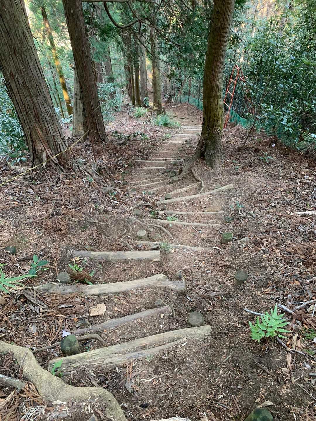 激下り