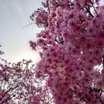 陽光というのかな？
見応え満点です。