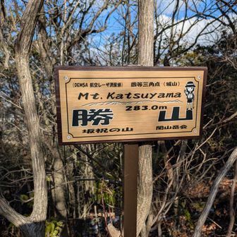 人生にかーっつ