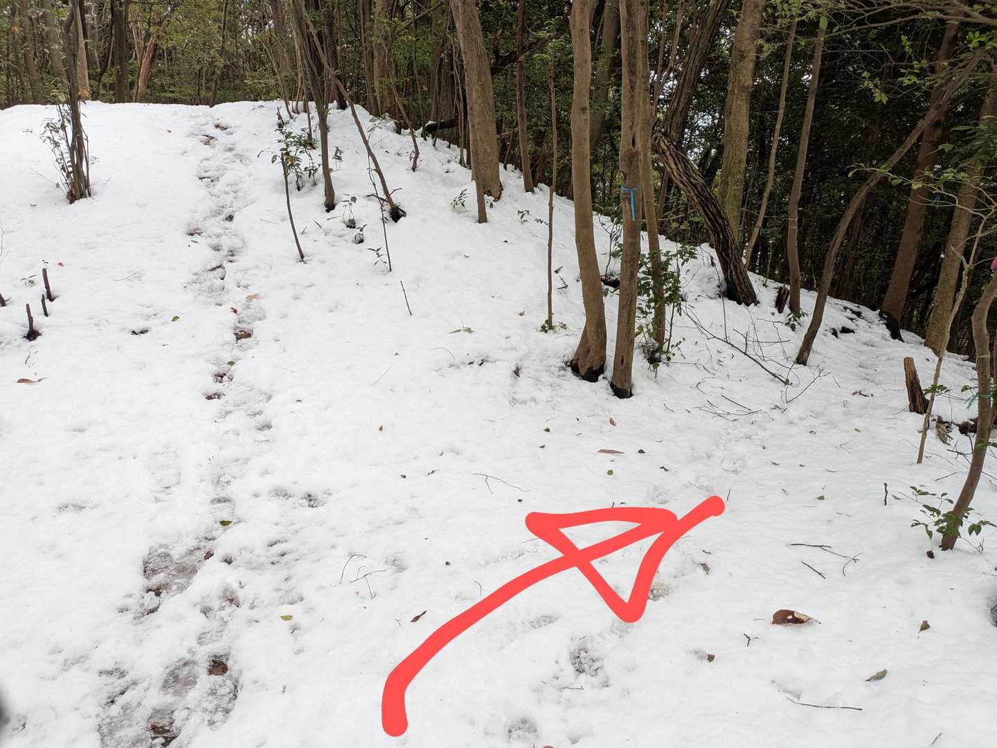 ココの分岐点は必ず右へ→
〜前回、真っ直ぐ行って、
霊園の上に出てフェンスを乗り越えました😫