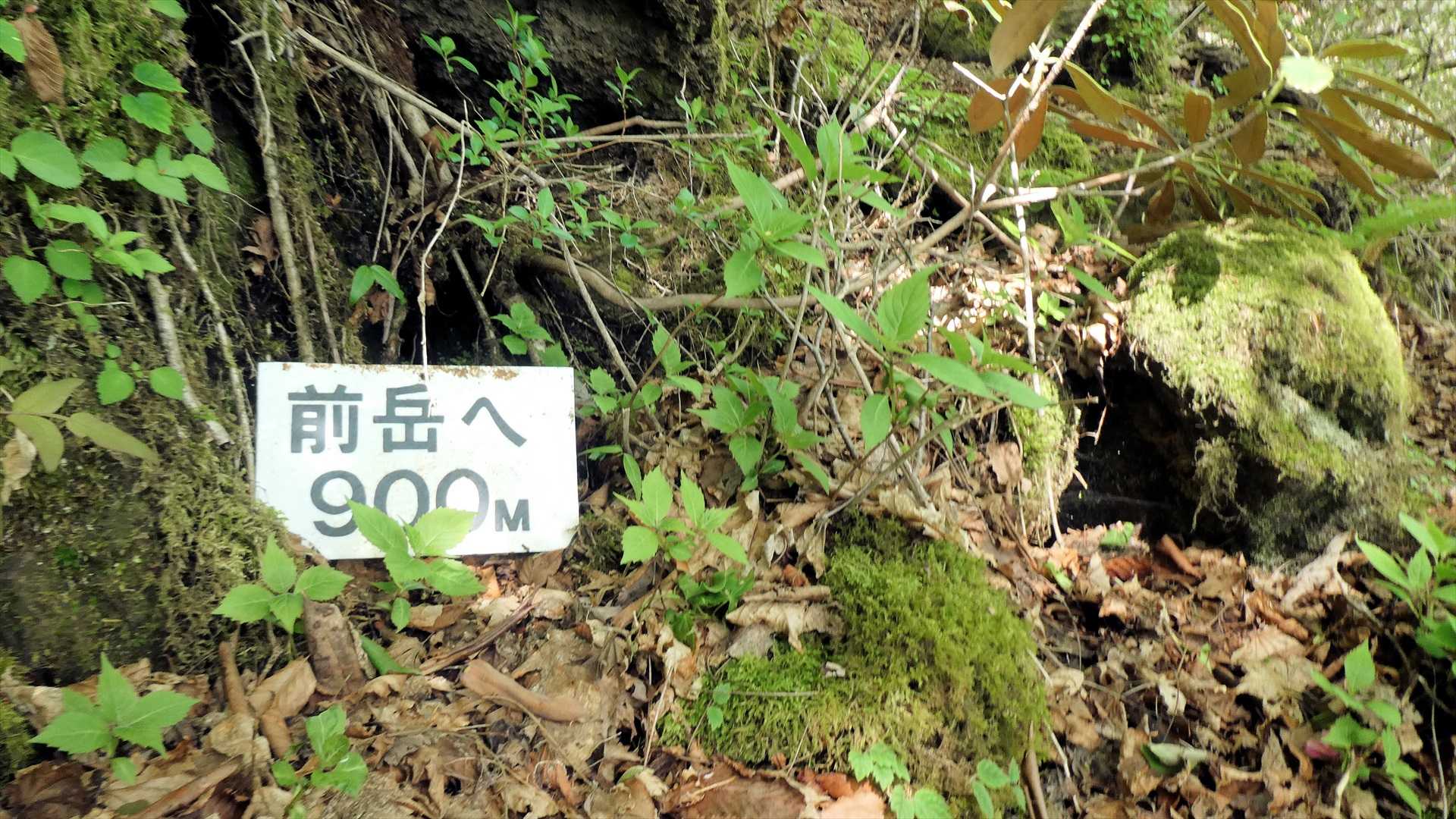前岳へ900ｍ