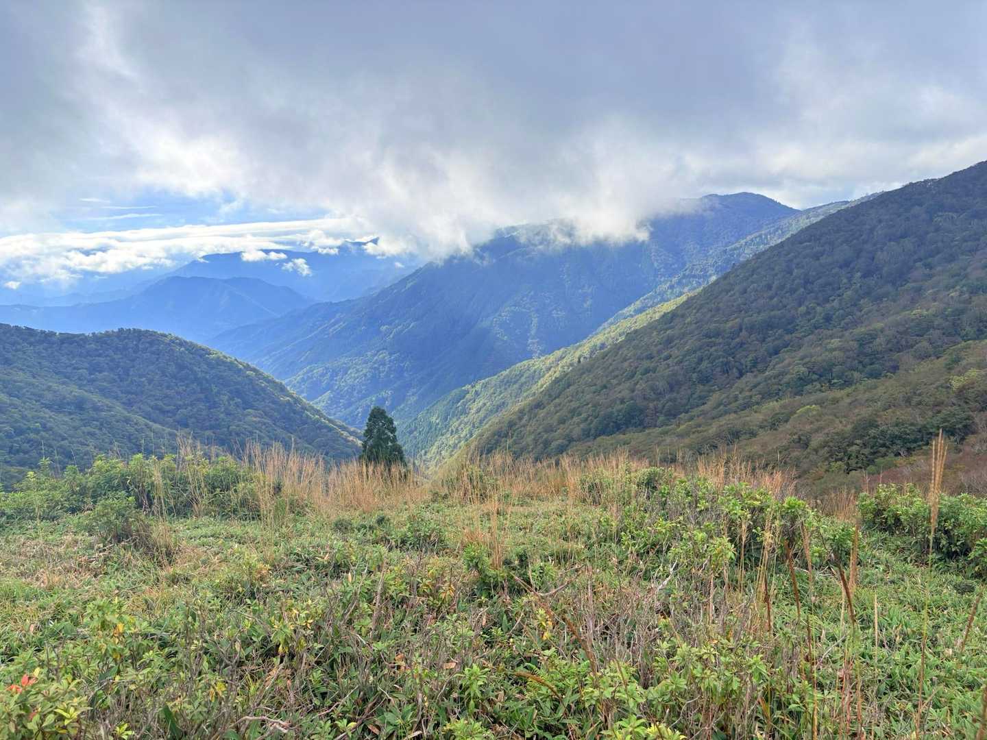 千町峠-段ヶ峰-フトウガ峰 往復コースの写真