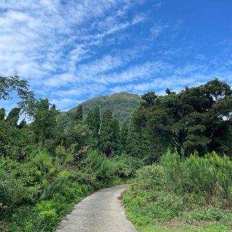 青空はやっぱり良いなぁ