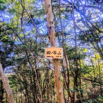 四ノ谷山
ここは寄り道。