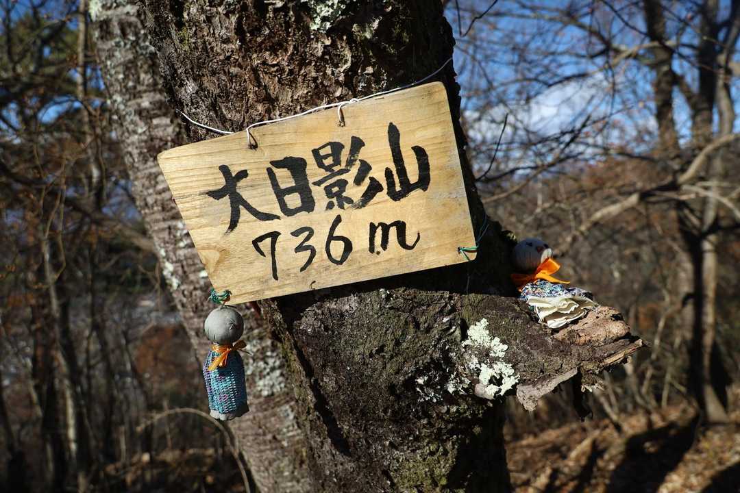 大日影山の山頂標識
#てるてる坊主