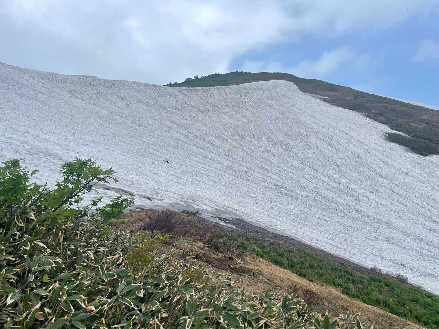 山頂の雪渓☃️