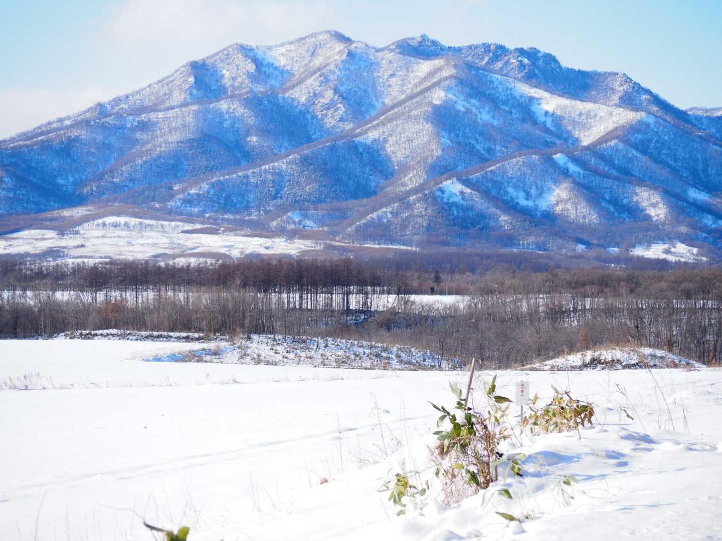 剣山、今年もこっちから登る人、居るのかな?