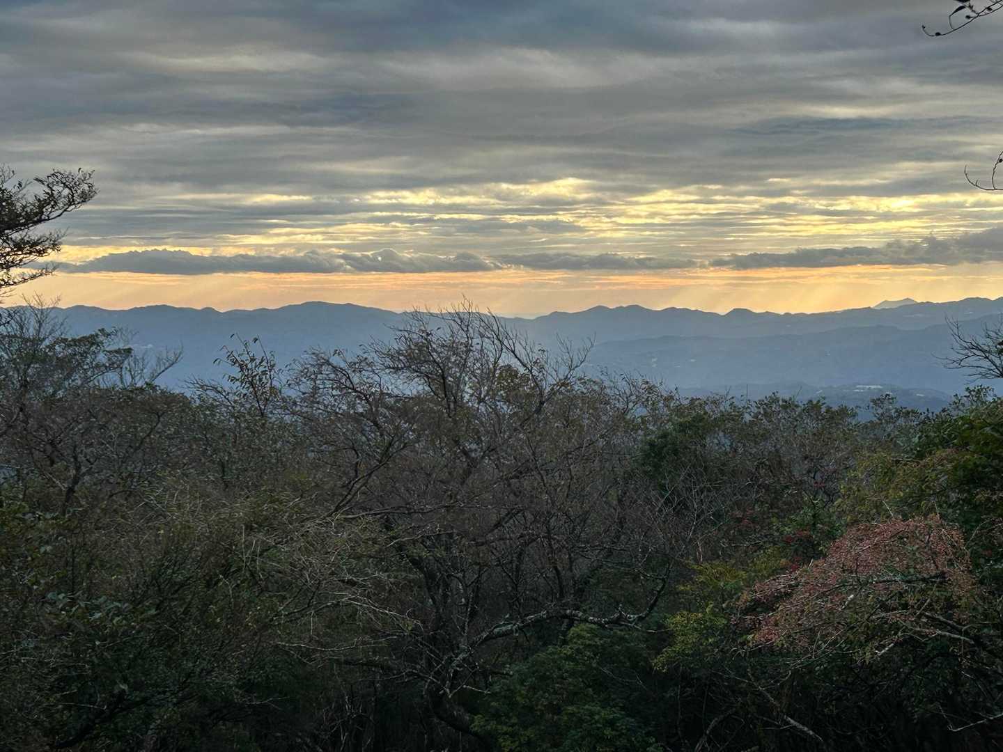 だるま山高原レストハウスバス停-金冠山 往復コース
の写真