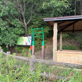 通ってしまったので、懸垂5回