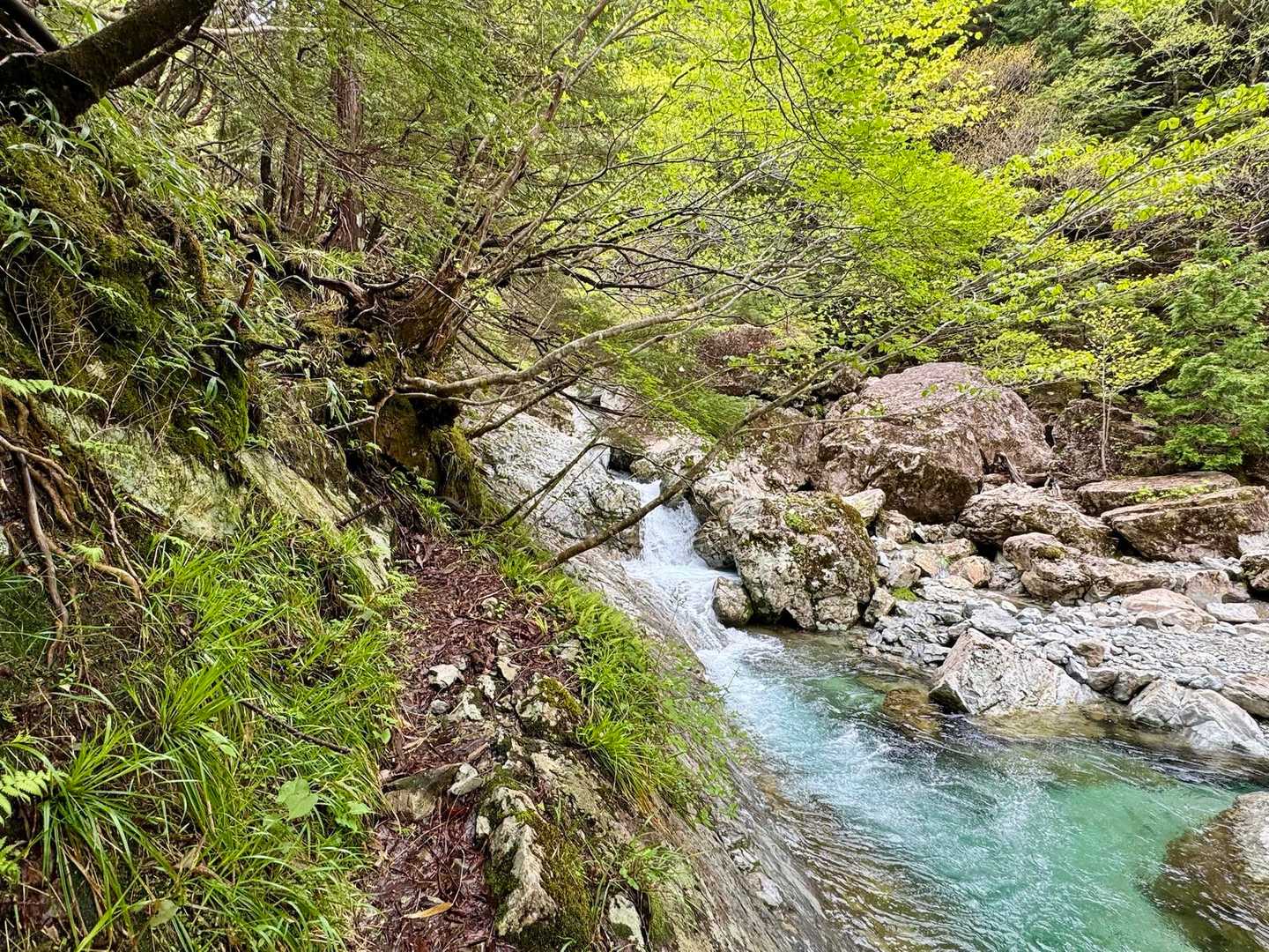 次のここの取り付きが全く分からず
突き進み、岩に阻まれて戻ってきました