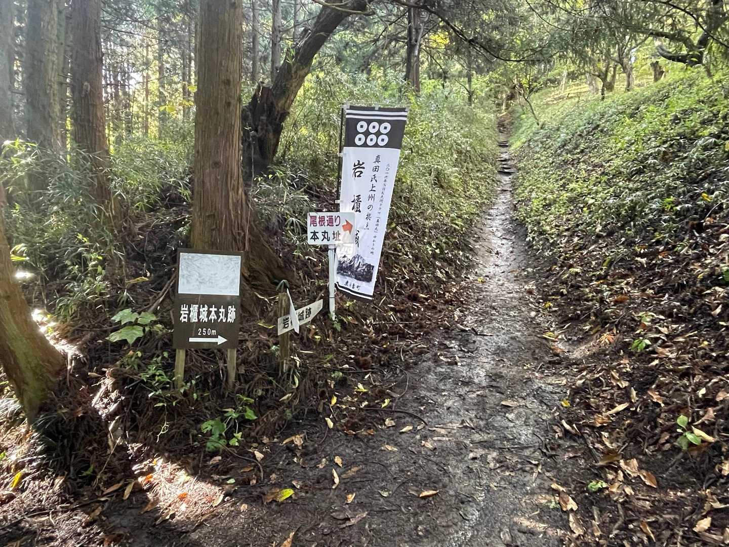 岩櫃山 往復コースの写真