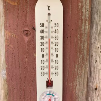 28℃60%〜風も吹きとっても爽やかです🍀