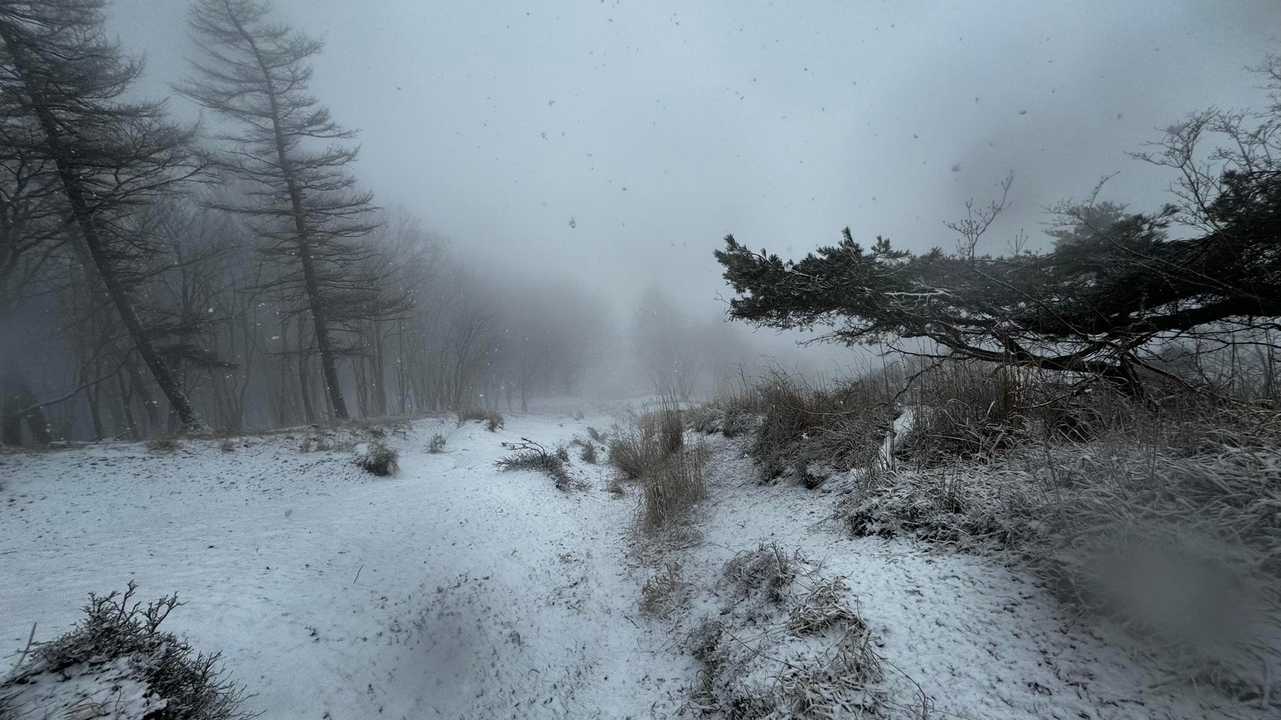 奥多摩、石尾根テン泊縦走（鴨沢〜七ツ石山〜鷹ノ巣山〜六ツ石山〜奥多摩駅） の写真 71