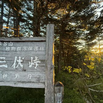 で、小河内岳まで行こうと思っていたけど

蝙蝠岳まで行けた！！😭✨
絶景見られた！！😆✨
もう大満足！！🤣
やはり疲れてるし〜😂

ってことで、登るのを辞めました😇笑

小河内岳は、また来ればいいって‼️
はまちゃん！