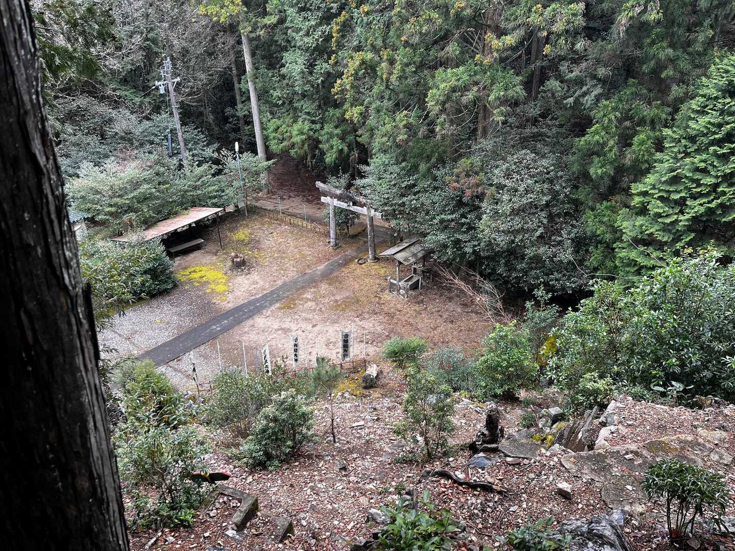 こっち周りだと、最後が激下り〜😖

眼下に神社が見えてきた⛩️