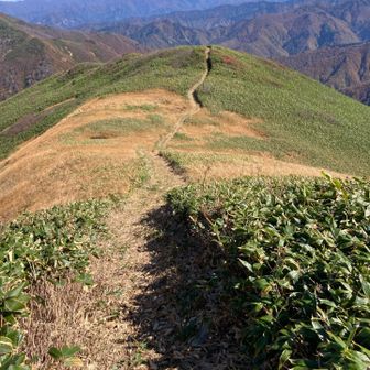 荒沢岳への登山道