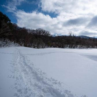 いくつになっても雪を見るとウキウキします(笑)