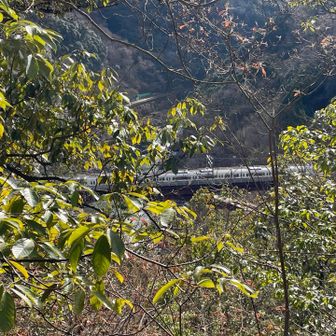 電車が入ってきた
このルート、最初と最後だけやや急でした。